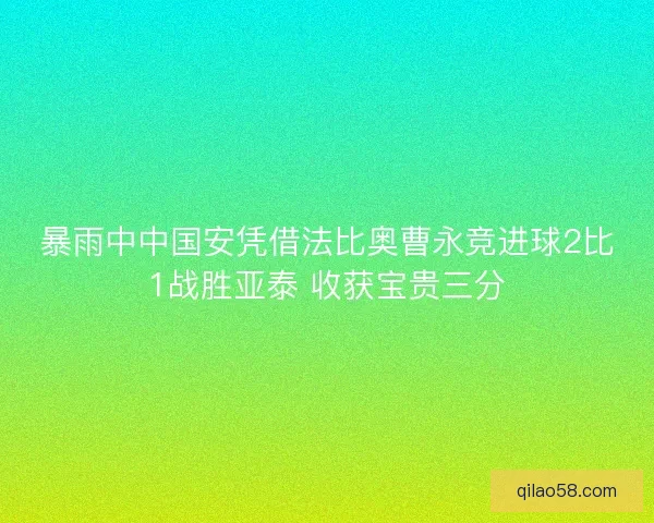 暴雨中中国安凭借法比奥曹永竞进球2比1战胜亚泰 收获宝贵三分 暴雨中中国安凭借法比奥曹永竞进球2比1战胜亚泰 收获宝贵三分